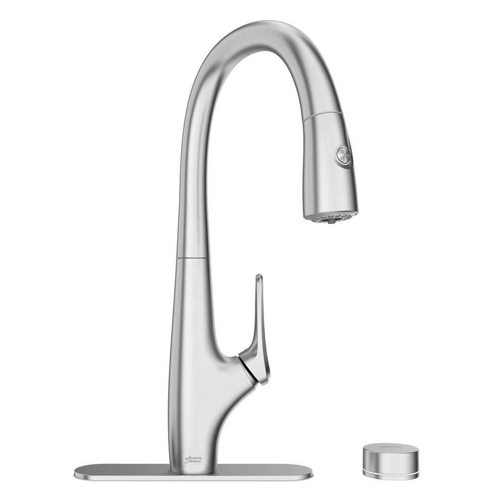 American Standard Canada Saybrook Pd Filter Faucet With Filter
